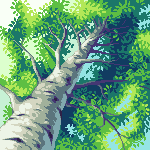 birch pixel