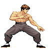Fei long Capcom examples